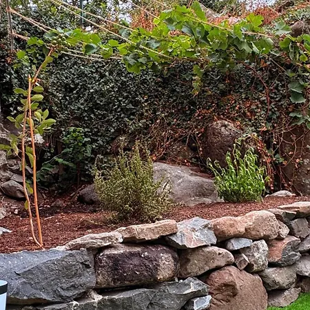 Old Aqueduct Village 1 - - Madeira * Serra de Água