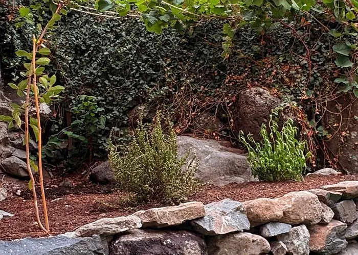 Old Aqueduct Village 1 - - Madeira * Serra de Água